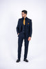Costum Barbatesc, 3 piese, Sacou, Vesta si Pantalon, Textura Punctata, Bleomaren PG0027