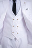 Costum Barbatesc, 3 piese, Sacou, Vesta si Pantalon, Material Textura Patratel, White PG0050