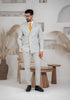 Costum Barbatesc, 2 piese, Sacou si pantalon, Material Fin, Nasturi Aurii, Gri Deschis PG0063